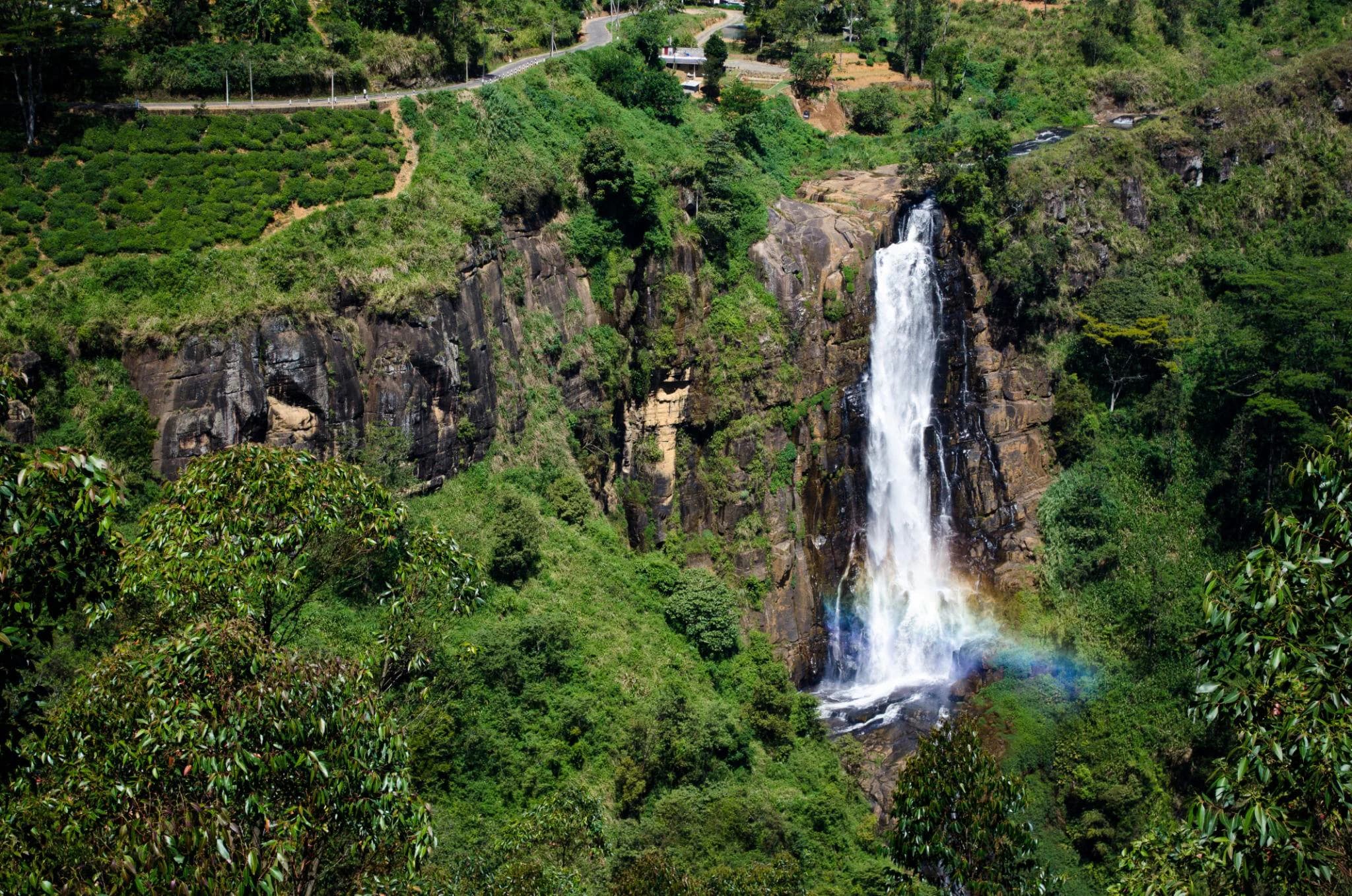Discover Sri Lanka – Scenic Heritage & Coastal Escape