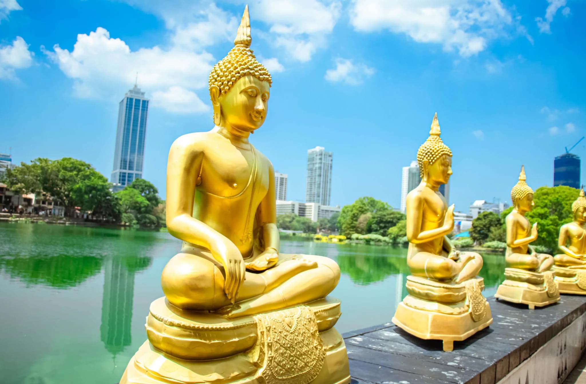 Unforgettable Sri Lanka Journey photo 2