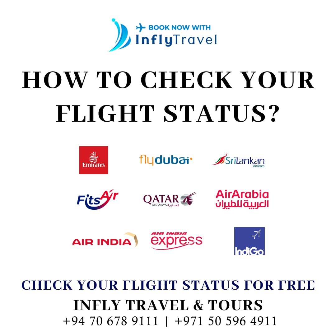 How to check your flight status online ?