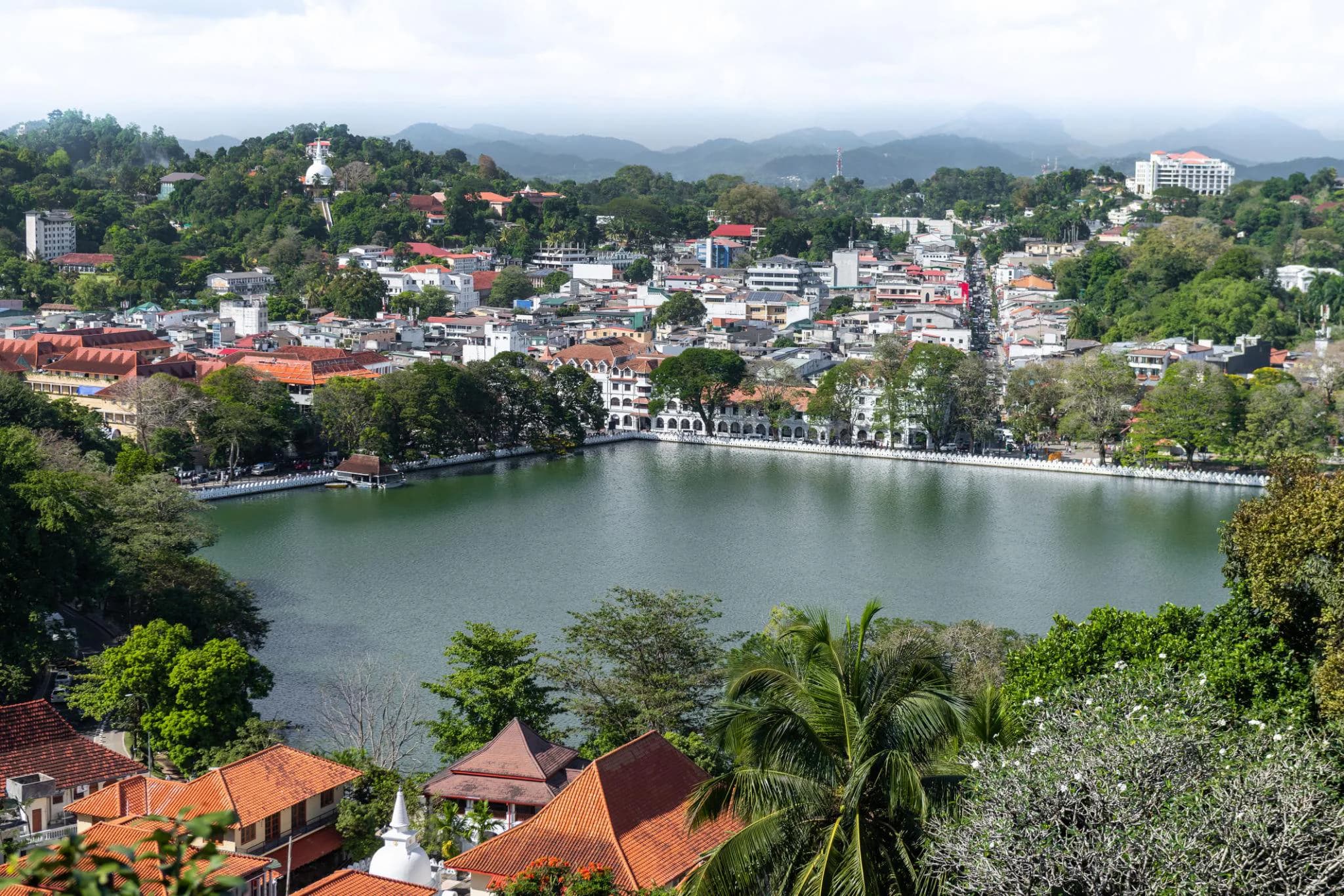 Discover Sri Lanka – Scenic Heritage & Coastal Escape photo 5