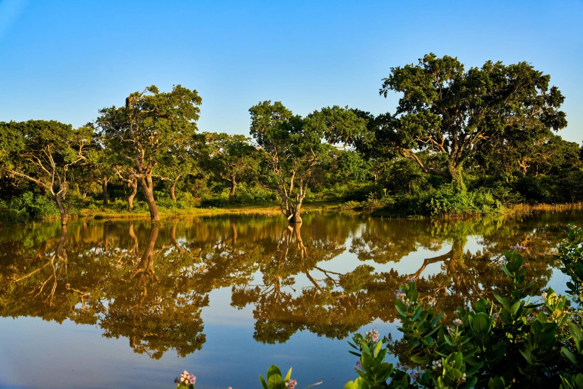 luxury-island-journey-sri-lanka photo 3